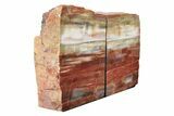 Tall, Arizona Petrified Wood Bookends - Rainbow Colored #240776-1